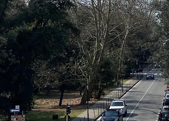 Pineta Mare Seaside Park Viareggio